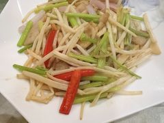 小炒菊花心-姚林轩