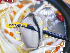 -濠轩阁特色生蚝火锅(水湾路店)