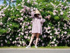 -大塘金香草谷