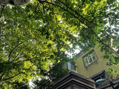 -白家餐厅(徐家汇店)