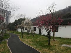 景点-达蓬山温泉