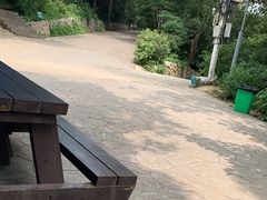 -紫金山山顶公园