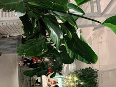 -开间茶馆·围炉煮茶