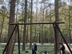 -日照世帆赛基地