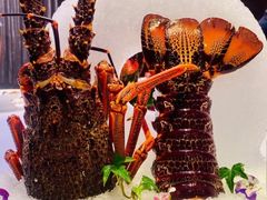 -浦江二号·独栋江景餐厅(滨江大道店)