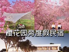 -天适樱花悠乐园