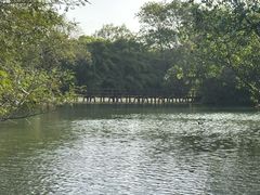 -杭州西湖柳莺里酒店·闻莺厅