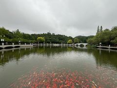 -大连植物园