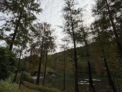 -云溪植物园