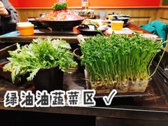 -火鳳祥美蛙牛肉自助(青悦城店)