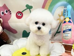 -樱桃家的宠物店(君安花园店)