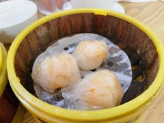 虾饺皇-杨记杏仁茶(椰园店)