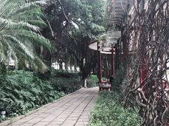-光明港公园