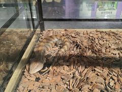 -昆山招商花园城