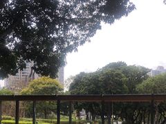 -四海公园(南山区)