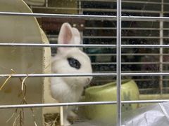 -藦茜花园宠物主题亲子互动体验馆(国顺东路店)