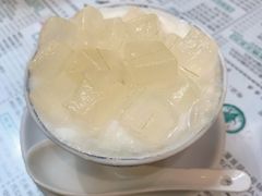 芦荟双皮奶-仁信老铺(嘉信店)