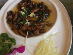 -新聚丰菜馆(太监弄店)