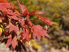 -丹东凤凰山景区