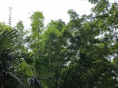 -望江楼公园