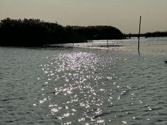 -乌梁素海景区