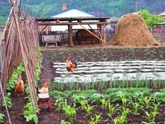 -北极村旅游风景区