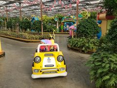 -南宫五洲植物乐园