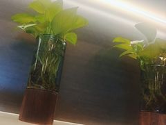 -鹿栖(佛山季华园店)
