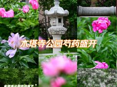 -木塔寺遗址生态公园
