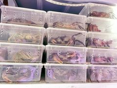 -华声天桥民俗文化园