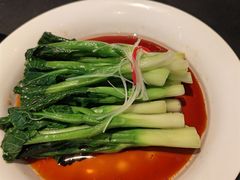 -茶人村·前滩江景雅宴(上海首店)