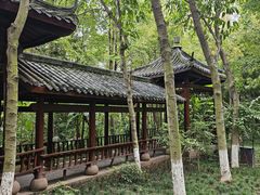-龙头寺公园