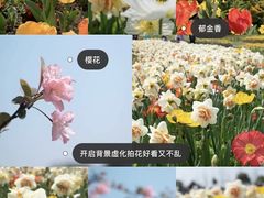 -花博汇(知音花月夜)