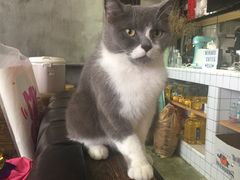 -MIKAKU(万达广场上海宝山店)