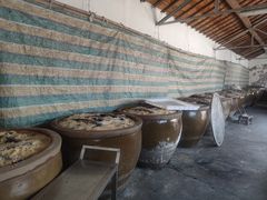 -苏州市吴中区光福窑上花果蜜饯厂