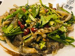 爽鱼皮-佳面馆·竹升云吞面·爽鱼皮·牛腩面(易发店)