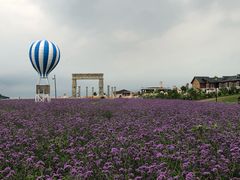 -渔岛海洋度假区