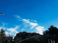 -青岛鑫江温德姆酒店