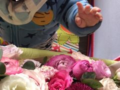 -Native Flower 莱提花艺(南海新天地广场店)