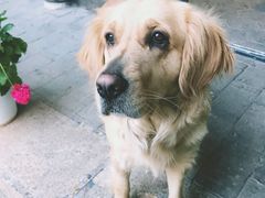 -浔岚云舍mist静谧观景美宿(丽江古城店)