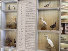 -下渚湖国家湿地公园科普馆