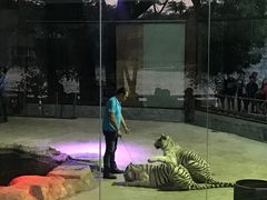 -清迈夜间动物园