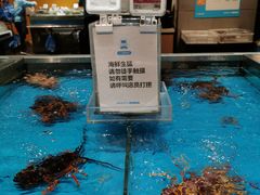 -恒生万鹂广场(唐镇店)