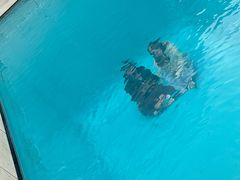 -金泽21世纪美术馆