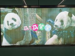 -动物园(地铁站)