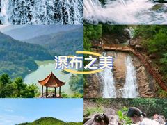 -广州白江湖森林公园