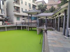 -长洲岛