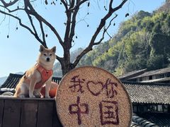 -林坑古村落