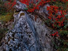 -华蓥山天意谷景区