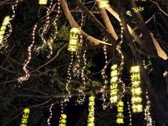 -光明港公园